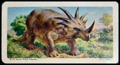 34 Styracosaurus